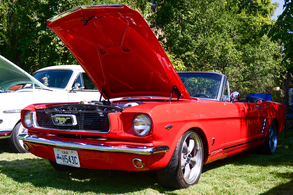DSC_3829.jpg