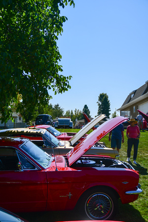 DSC_3834.jpg